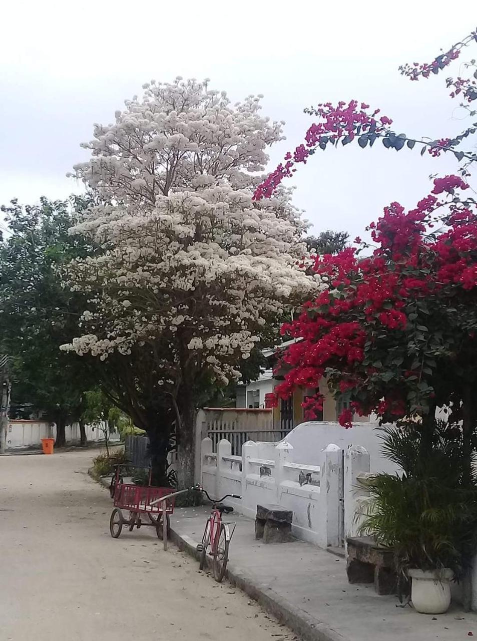 Casa Da Coruja Bed & Breakfast Rio de Janeiro Eksteriør bilde