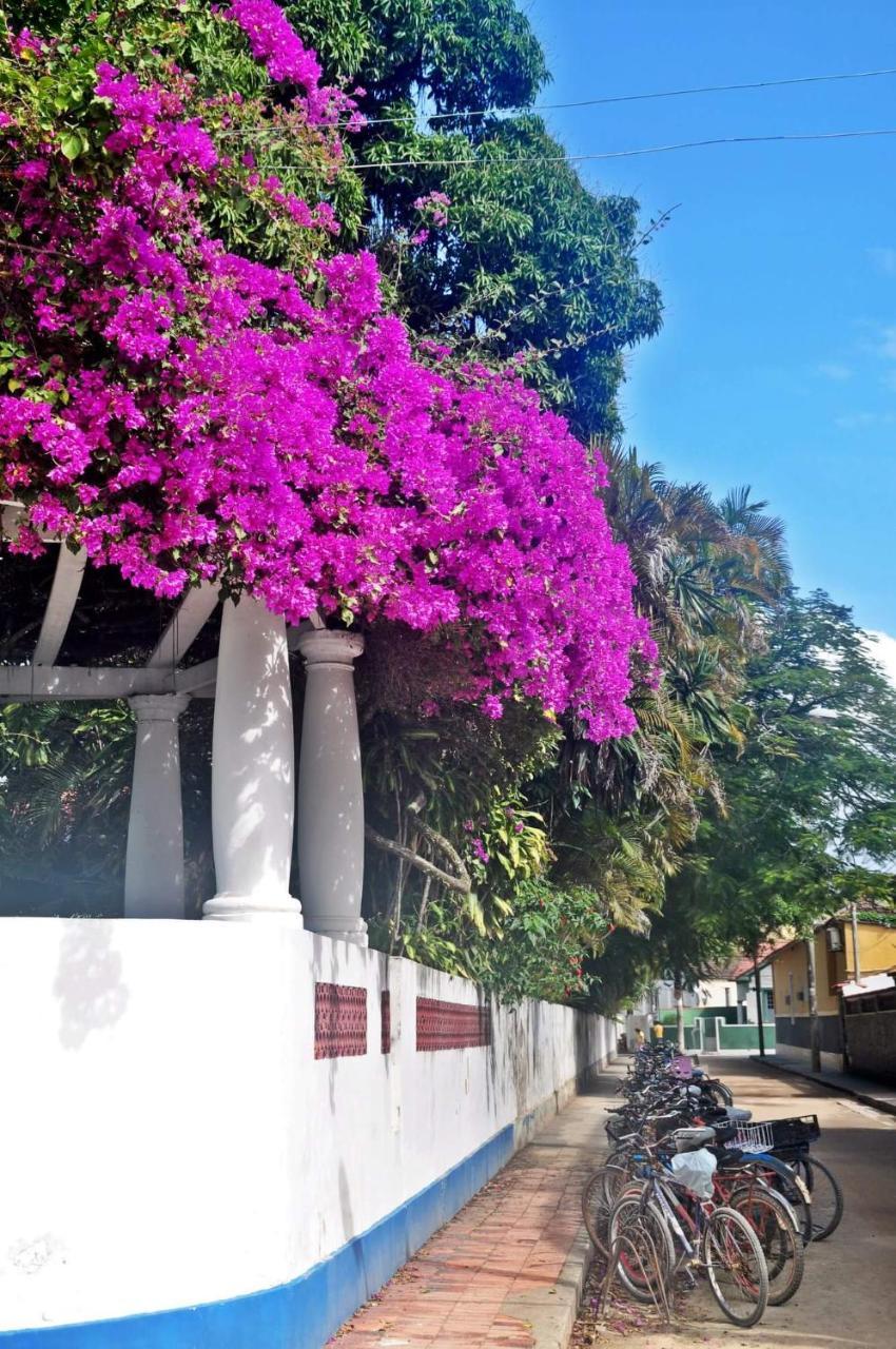 Casa Da Coruja Bed & Breakfast Rio de Janeiro Eksteriør bilde